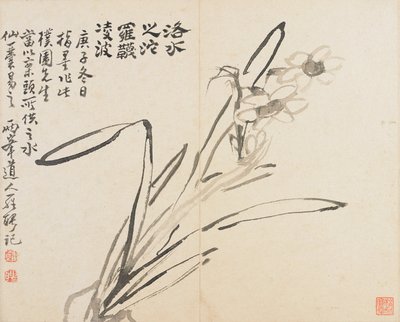 Landscapes, Flowers and Birds - Narcissus by Luo Ping